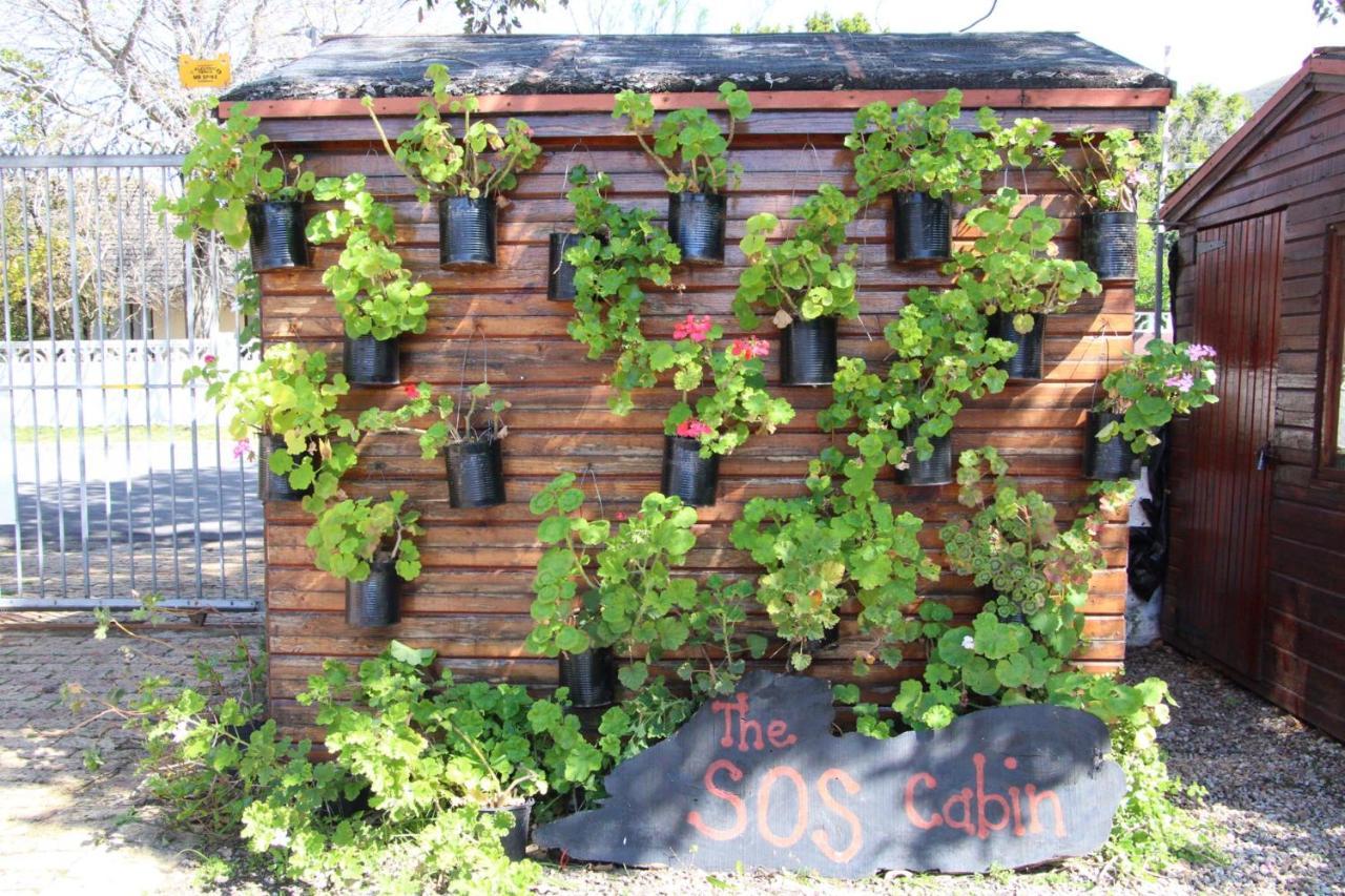 Zoete Inval Hostel Hermanus Ngoại thất bức ảnh