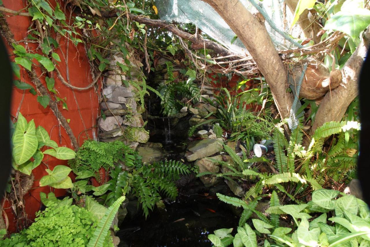 Zoete Inval Hostel Hermanus Ngoại thất bức ảnh