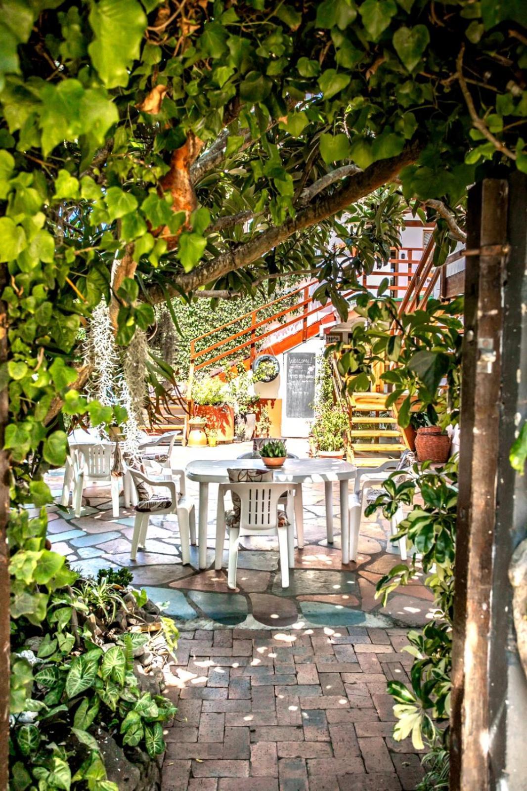 Zoete Inval Hostel Hermanus Ngoại thất bức ảnh