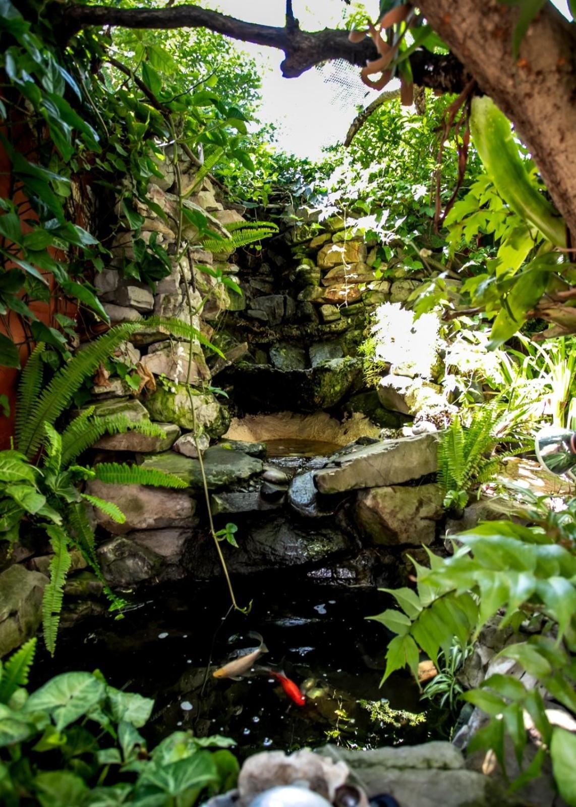 Zoete Inval Hostel Hermanus Ngoại thất bức ảnh